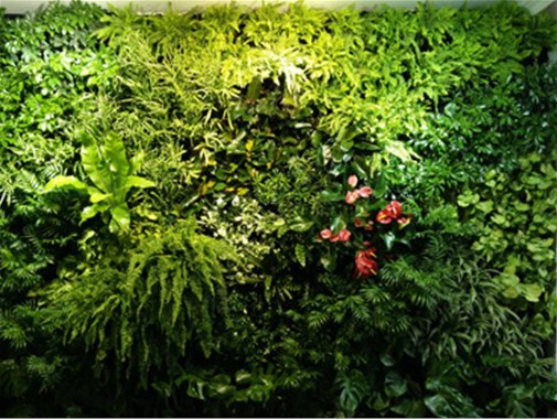 植物墙技术体系