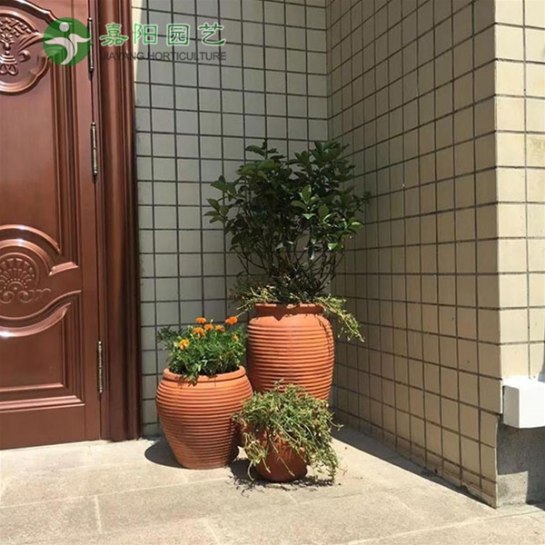 绿植销售