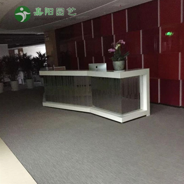 绿植销售